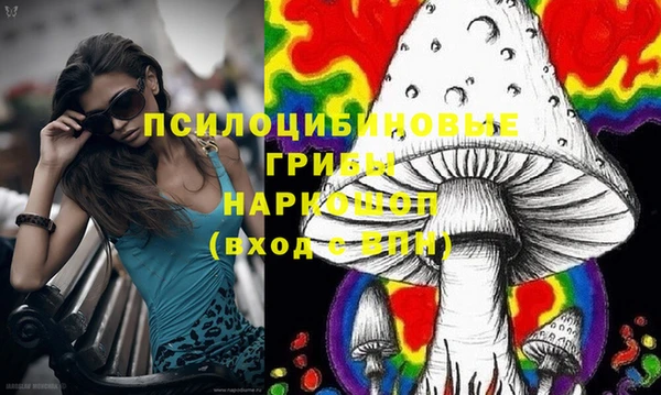 гидра Протвино