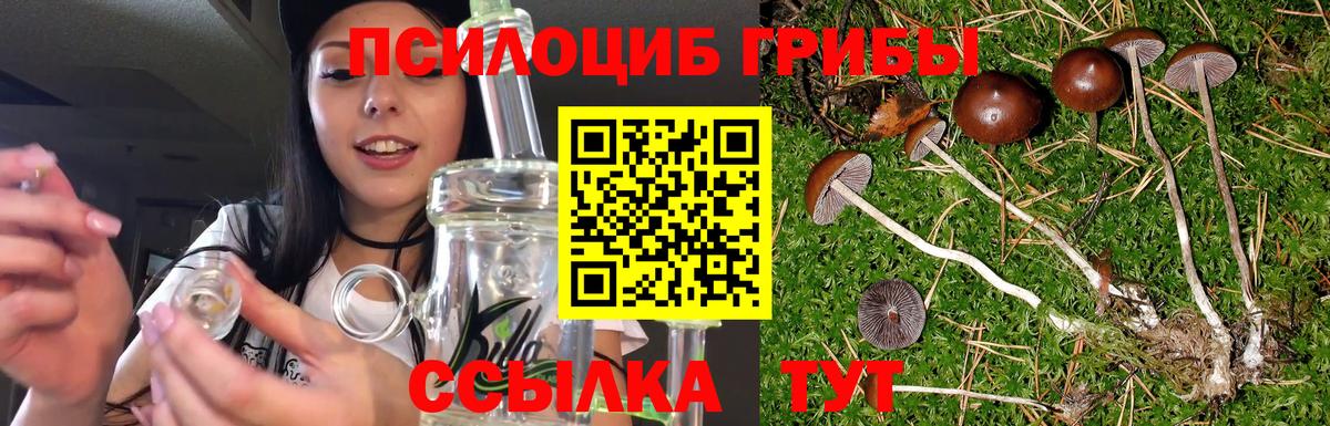 Псилоцибиновые грибы прущие грибы Советская Гавань