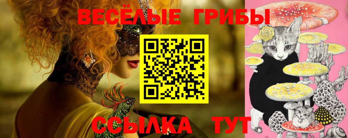 Псилоцибиновые грибы прущие грибы Советская Гавань